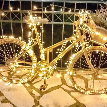 G&j Traditional House *