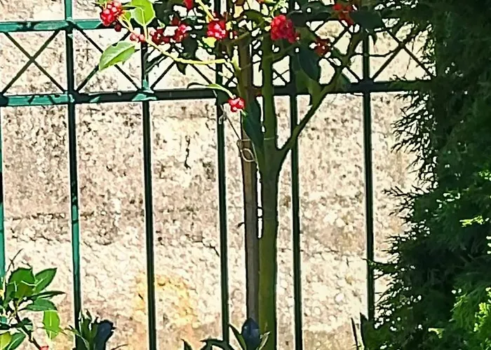 G&j Traditional House Villa Elati (Trikala)